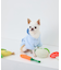 【DOG】トウモロコシ