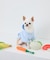 【DOG】キノコ