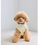 【DOG】パイピングタンクトップ