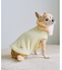 【DOG】パイピングタンクトップ