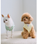 【DOG】パイピングタンクトップ