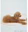 【DOG】【接触冷感】リボン付きキャミワンピース