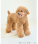 【DOG】【接触冷感】リボン付きキャミワンピース
