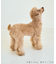 【DOG】【接触冷感】リボン付きキャミワンピース