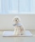 【DOG】ひんやりマット