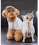 【DOG】【comif(コミフ)×ROPE' PICNIC】シャイニーキャップ/リンクコーデ