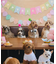 【DOG】【comif(コミフ)×ROPE' PICNIC】バースデーセット