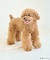 【DOG】【comif(コミフ)×ROPE' PICNIC】バースデーセット