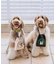 【DOG】【comif(コミフ)×ROPE' PICNIC】刺繍お散歩ショルダーバッグ