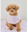 【DOG】ひんやりスタイ