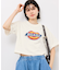 【Dickies】アイコンクロップドTシャツ