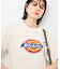 【Dickies】アイコンクロップドTシャツ