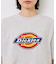 【Dickies】アイコンクロップドTシャツ