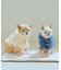 【DOG】ニットポンチョ
