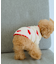 【DOG】ランダムハートニット