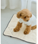 【DOG】もちもちマット
