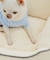 【DOG】もちもちベッド