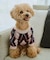 【DOG】アーガイルニットプルオーバー