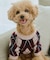 【DOG】アーガイルニットプルオーバー