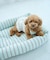 【DOG】マルチストライプひんやりベッド