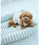 【DOG】マルチストライプひんやりベッド