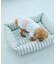【DOG】マルチストライプひんやりベッド