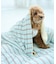 【DOG】マルチストライプひんやりブランケット