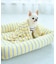 【DOG】マルチストライプひんやりブランケット