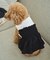 【DOG】シャーリングワンピース/リンクコーデ