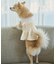 【DOG】シャーリングワンピース/リンクコーデ