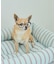 【DOG】ファッショングラス