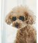 【DOG】ファッショングラス