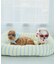 【DOG】ファッショングラス