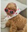 【DOG】ファッショングラス