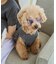 【DOG】ファッショングラス