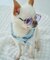 【DOG】ファッショングラス