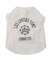【DOG】カレッジロゴプリントピグメントTシャツ/リンクコーデ
