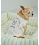 【DOG】カレッジロゴプリントピグメントTシャツ/リンクコーデ