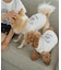 【DOG】カレッジロゴプリントピグメントTシャツ/リンクコーデ