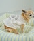 【DOG】カレッジロゴプリントピグメントTシャツ/リンクコーデ