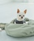【DOG】ナイロンスリングバッグ