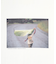 【撥水】MAGNUM PHOTOS TEE