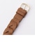 TIMEX(タイメックス): SAFARI(サファリ)