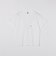 【26SS新色追加!!累計販売数18万枚突破!!】【WEB限定】SHIPS: マイクロ SHIPSロゴ ポケット Tシャツ