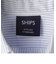 SHIPS STANDARD: SEA ISLAND COTTON オックスフォード BDシャツ