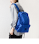 STANDARD SUPPLY:SIMPLICITY / DAILY DAYPACK（17L）◇