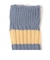 OBSCURE SOCKS: CITRUS ライン ソックス 22FW