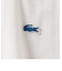 【SHIPS any別注】LACOSTE: ワンポイント ロゴ ピケ クルーネック Tシャツ 24SS◇