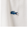 【SHIPS any別注】LACOSTE: ワンポイント ロゴ ピケ クルーネック Tシャツ 24SS◇