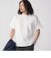 【WEB限定】SHIPS: ワンポイント ロゴ バーズアイ Tシャツ 24SS